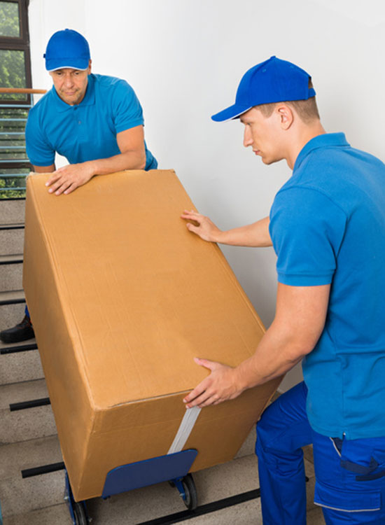 The Removals London - House and office removals in Lower Sydenham SE26